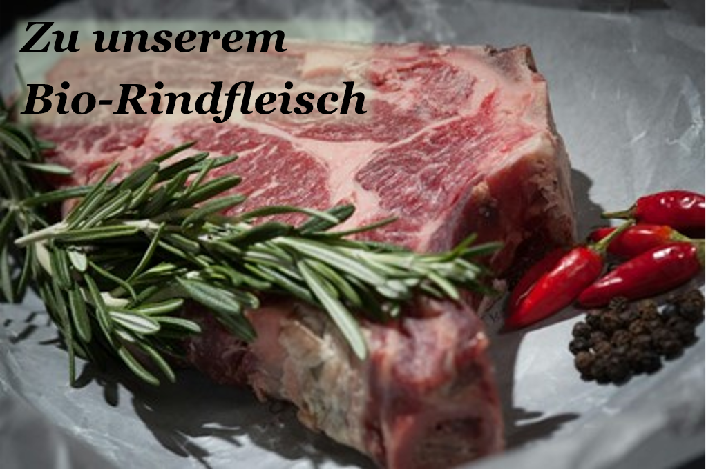 rindfleisch